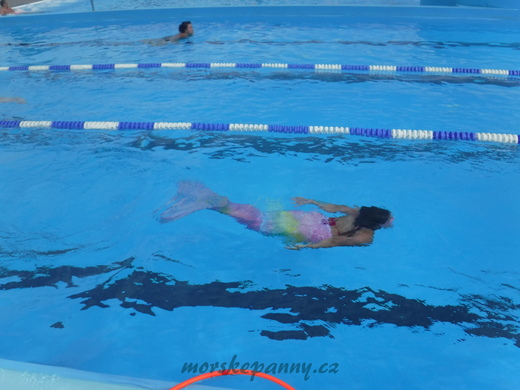 DSCF7555.JPG